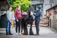 HAPPA Visitors and Pony