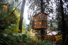 TreehousePoint