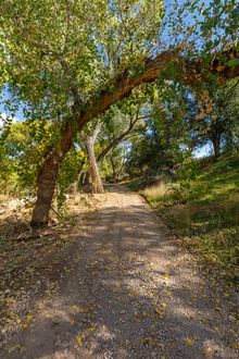 Rockin' River Ranch trail 