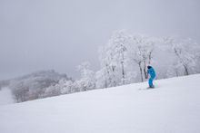 Naeba Mountain