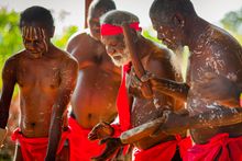 Tiwi by Design Cultural Experience