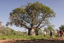 Mabu Buru Tours, Broome