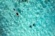 The Nautilus Maldives - Manta Snorkelling