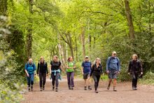 National Forest Walking Festival