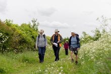 National Forest Walking Festival