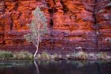 Karijini National Park