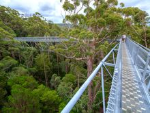 Valley of the giants tree top walk, Walpole-Nornalup National Park