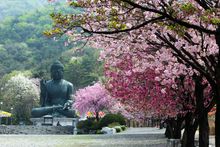 Gagwonsa-Tempel, Chungcheongnam-do