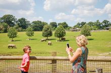 Marwell Zoo - Wild Explorers 