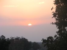 Sunset at the Flame of the Forest, Kanha, India