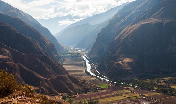 Paddington in Peru