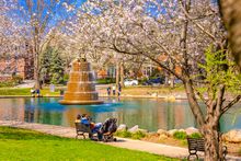 Spring blossoms at Goodale Park in Columbus, Ohio