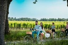 Wine activities around Bordeaux