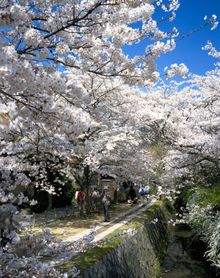 Philospher's Path Kyoto