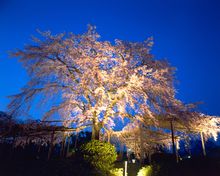 Maruyama Park