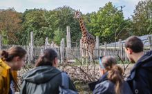 Marwell Zoo