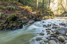 Soquel Creek in Demonstration State Forest