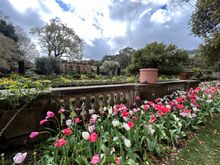 Filoli, The San Francisco Peninsula