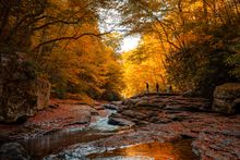 Meadow Run Natural Waterslides at Ohiopyle, a charming borough in the Laurel Highlands of Southwestern Pennsylvania.