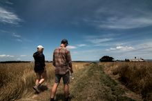 Naturaliste Tours French Island