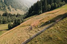 Schule der Alm_Valsertal_Tyrol 