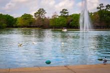 Hermann Park_McGovern_Lake_Rowboat