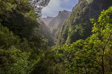 Levada do Caldeirao Verde