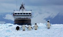 Ross Sea, Antarctica