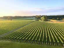 FarmDog Brewing at McGlashans Estate