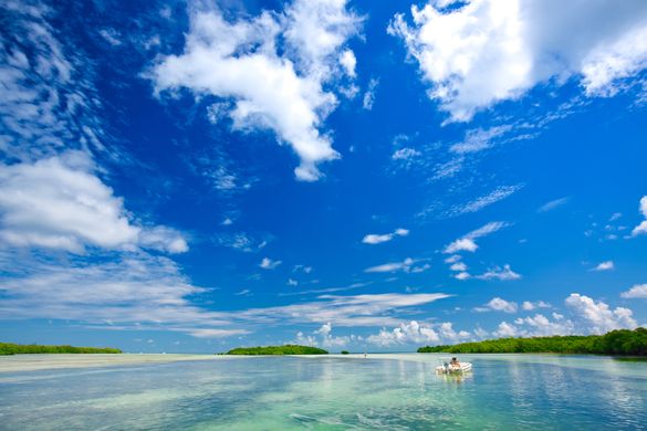 Lower Keys Backcountry Credit: Florida Keys News Bureau