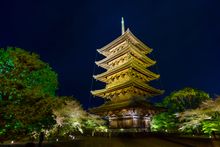 To-Ji Shrine Kyoto