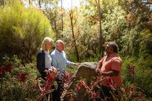 Go Cultural Tours, Kings Park and Botanic Gardens, Perth (Boorloo)