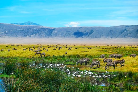 Ngorongoro Crater, Tanzania