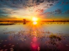 Chobe National Park