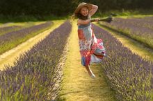 Lavender Fields Fun