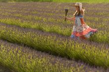 Girl in the The Lavender Fields, Hartley Park Farm