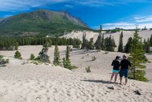 Carcross Desert