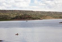 Kick Off Summer Paddleboarding & Jet Skiing at Lyman Lake State Park in Eastern Arizona