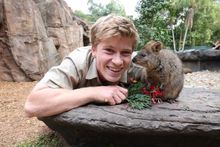 WTTC - Robert Irwin and quokka endemic in WA - Credit Australia Zoo