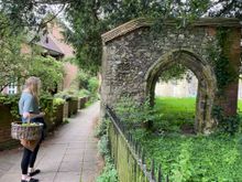 Urban Foraging, Experience Hampshire for A Taste of Winchester 