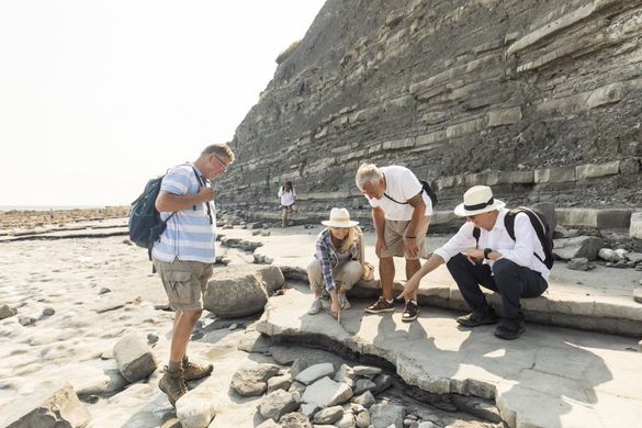 Fossil Hunting Lyme Regis Beach- United Kingdom