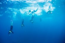 SwimTrekkers Exploring the Galapagos Islands