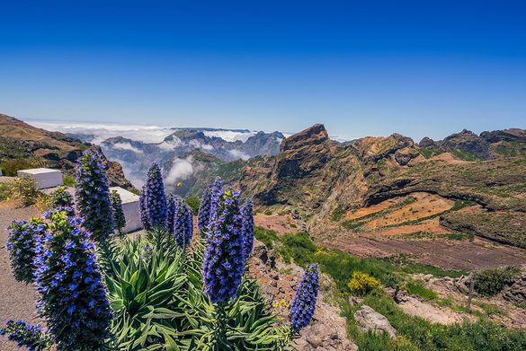 Pico do Areeiro