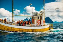 Fishing trip from Svolvær, Lofoten, Norway 