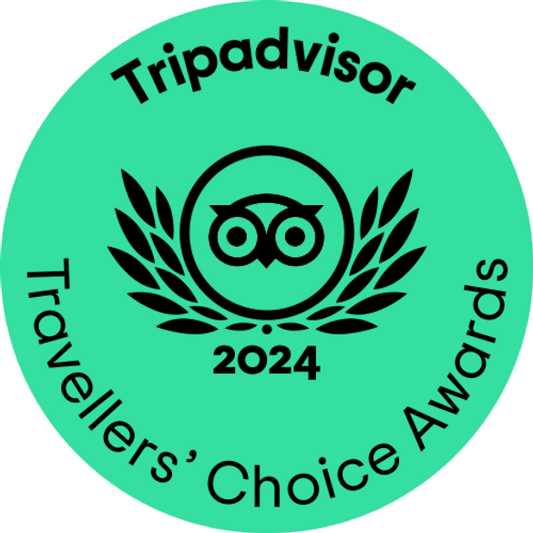 Tripadvisor Traveler's Choice Award logo