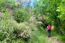 Walking near Acciaroli