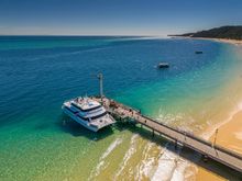 Tangalooma Reef Cat