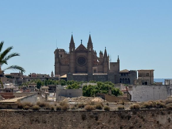 Mallorca cathedral