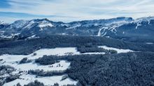 Bois Barbus, Vercors