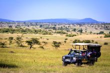 On safari within the Masai Mara, Kenya